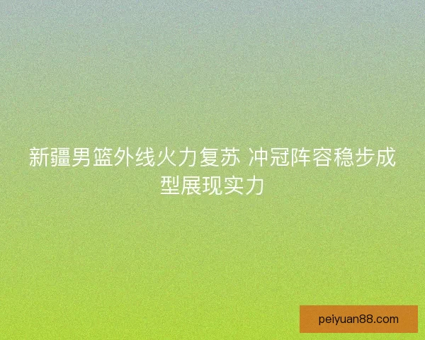 新疆男篮外线火力复苏 冲冠阵容稳步成型展现实力