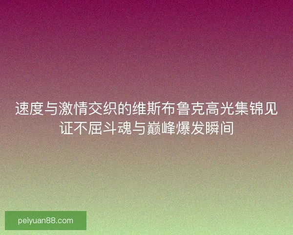 速度与激情交织的维斯布鲁克高光集锦见证不屈斗魂与巅峰爆发瞬间